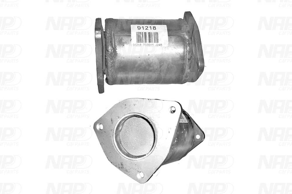Catalyseur NAP carPARTS CAK10182