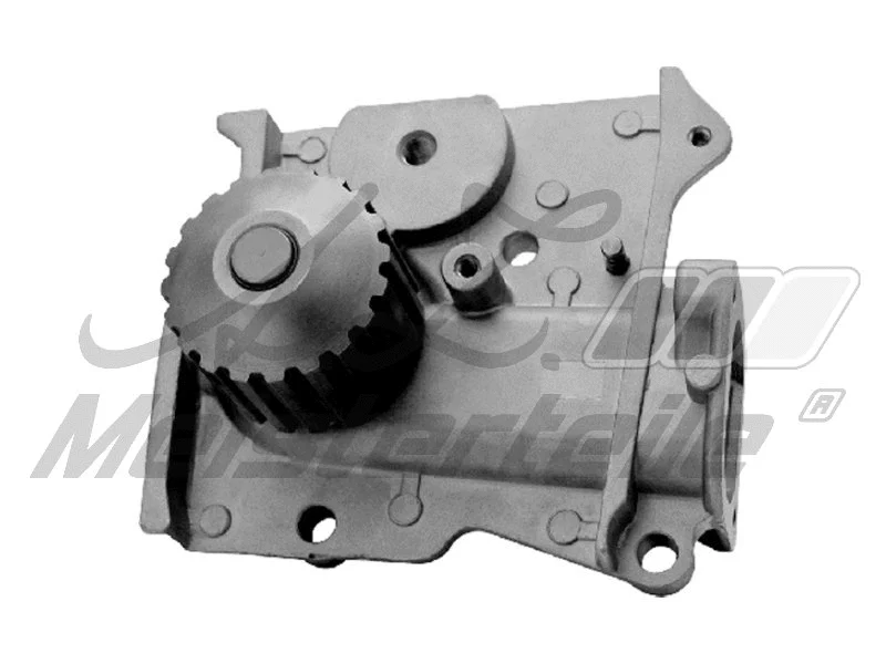 Pompe à eau, refroidissement du moteur A.Z. Meisterteile AZMT-30-100-1344