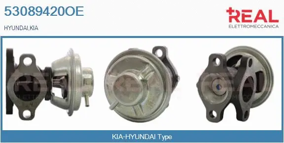 Vanne EGR REAL 53089420OE