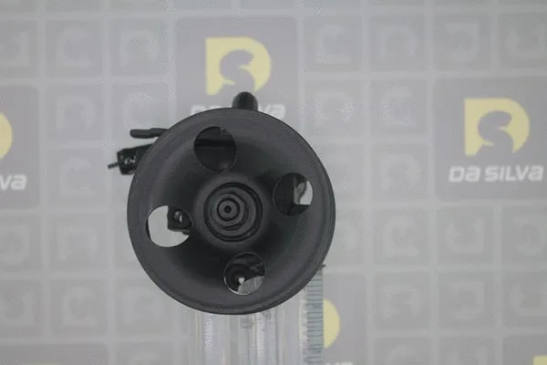Pompe hydraulique, direction DA SILVA DP3386