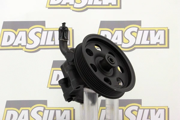 Pompe hydraulique, direction DA SILVA DP2831