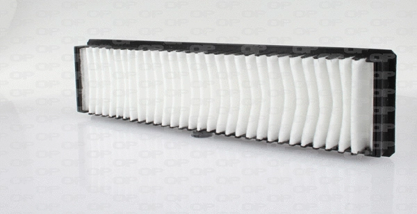 Filtre, air de l'habitacle OPEN PARTS CAF2096.01