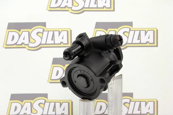 Pompe hydraulique, direction DA SILVA DP2081