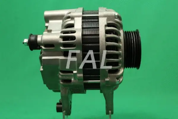 Alternateur FAL Anlasser- und Lichtmaschinenservice F016074/2