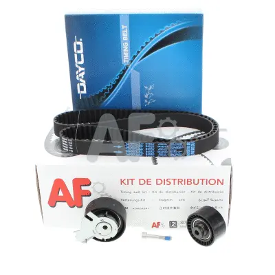 Kit de courroie crantée AUTOMOTOR France PTK31R9