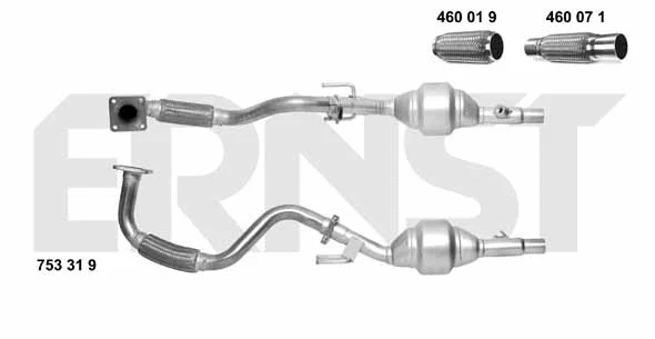 Catalyseur ERNST 753319