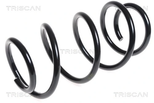 Ressort de suspension TRISCAN 8750 14101