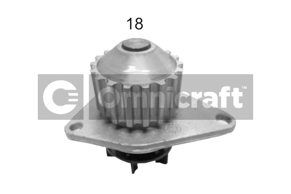 Pompe à eau, refroidissement du moteur Omnicraft 2316898