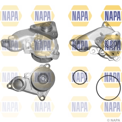 Pompe à eau, refroidissement du moteur NAPA NWP1261