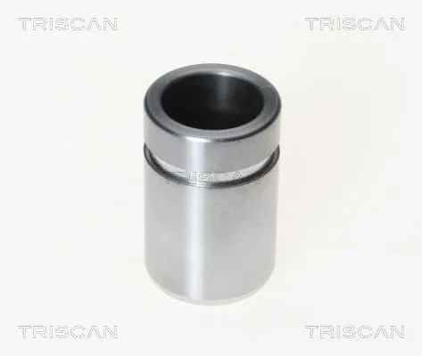 Piston, étrier de frein TRISCAN 8170 233022
