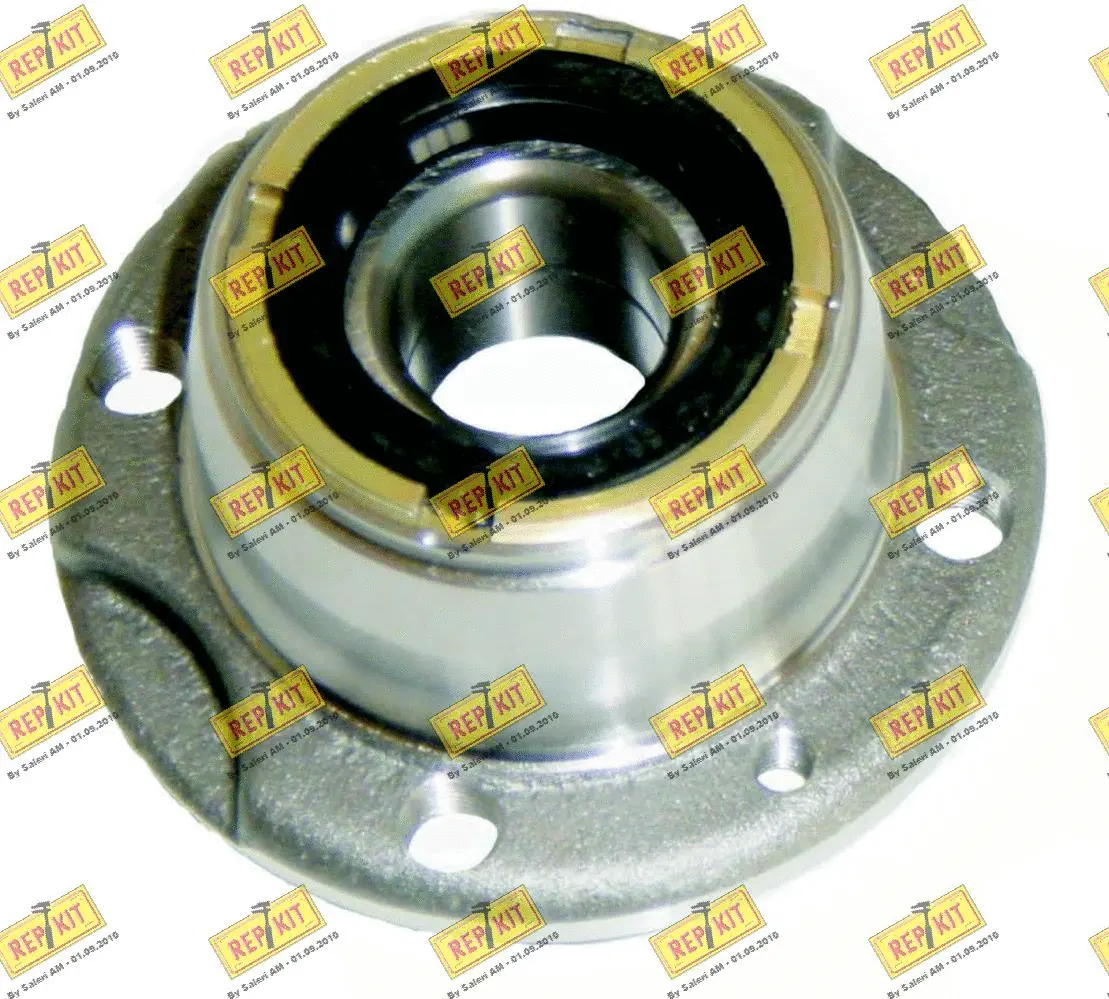 Kit de roulements de roue REPKIT RKB1520
