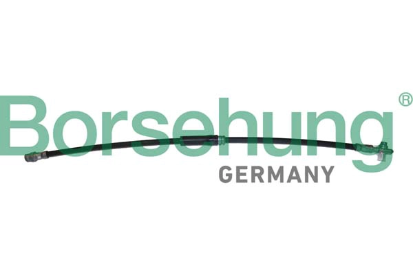 Flexible de frein Borsehung B10953