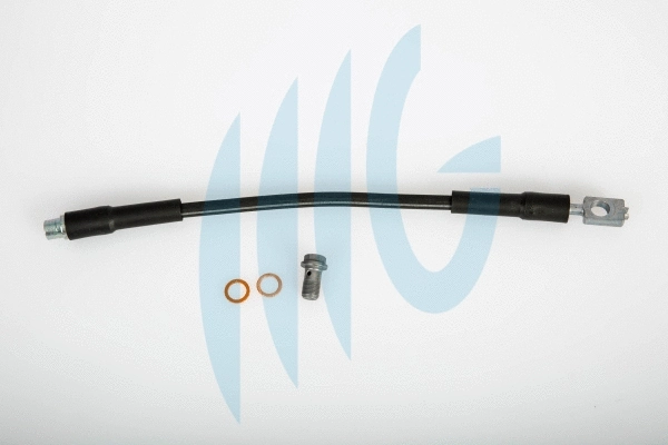 Flexible de frein RICAMBIFLEX GM 02020125