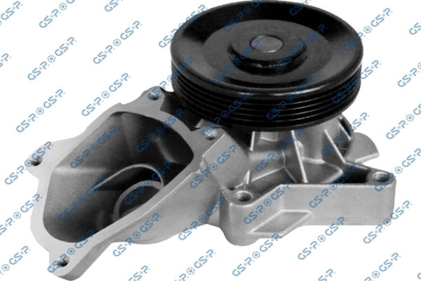 Pompe à eau, refroidissement du moteur GSP WP900283