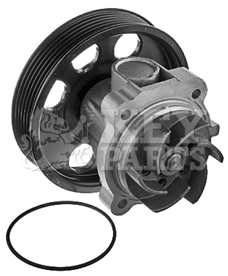 Pompe à eau, refroidissement du moteur KEY PARTS KCP2032