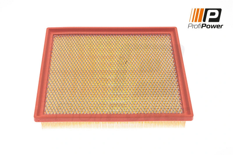 Filtre à air ProfiPower 2F0110
