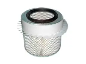 Filtre à air ACDelco Oceania ACA95
