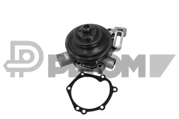 Pompe à eau, refroidissement du moteur PLYOM P768752