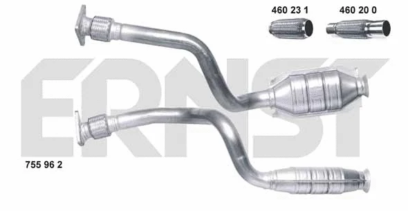 Catalyseur ERNST 755962