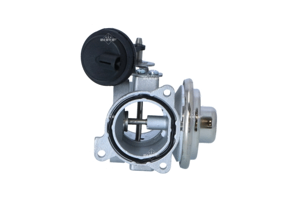 Vanne EGR WILMINK GROUP WG2161812