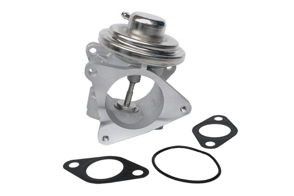 Vanne EGR ASAM AUTOMOTIVE 74115