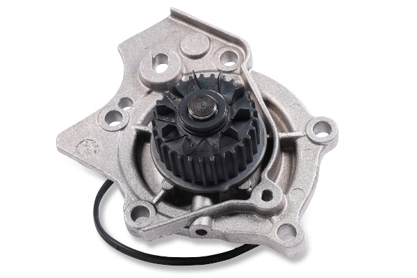 Pompe à eau, refroidissement du moteur GK 980295