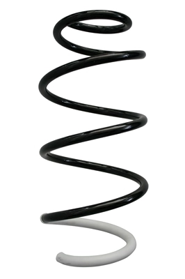 Ressort de suspension SPIDAN 87364