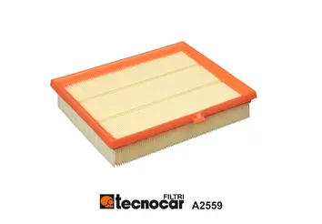 Filtre à air TECNOCAR A2559