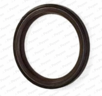 Bague d'étanchéité, arbre à cames PAYEN NA5317