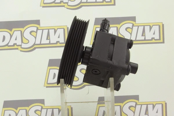 Pompe hydraulique, direction DA SILVA DP3279