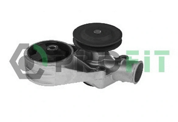 Pompe à eau, refroidissement du moteur PROFIT 1701-0663