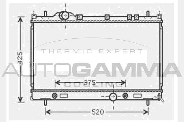 Radiateur, refroidissement du moteur AUTOGAMMA 104632
