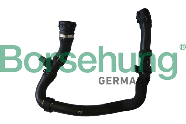Durite de radiateur Borsehung B11960