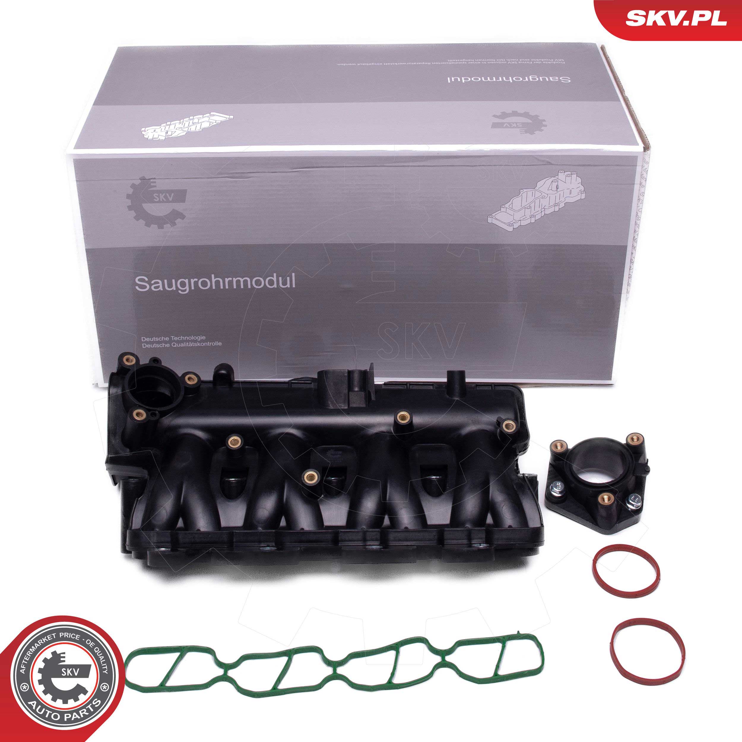 Module de tube d'admission ESEN SKV 49SKV081