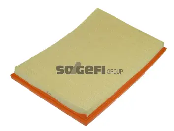 Filtre à air FRAM CA10675