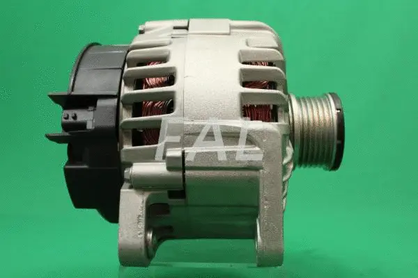 Alternateur FAL Anlasser- und Lichtmaschinenservice F015800/1
