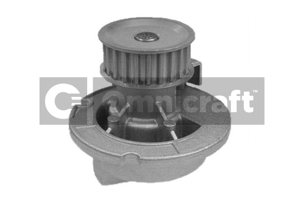 Pompe à eau, refroidissement du moteur Omnicraft 2317038