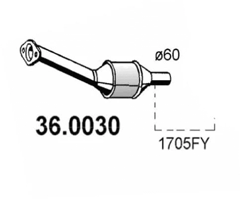 Catalyseur ASSO 36.0030