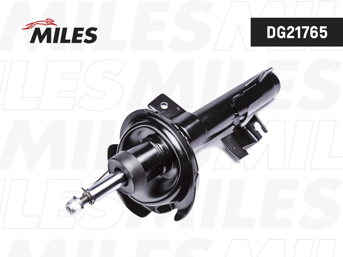 Amortisseur MILES DG21765