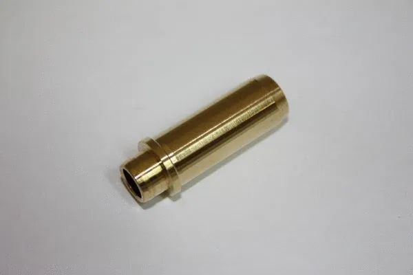 Guide de soupape AUTOMEGA 130021210