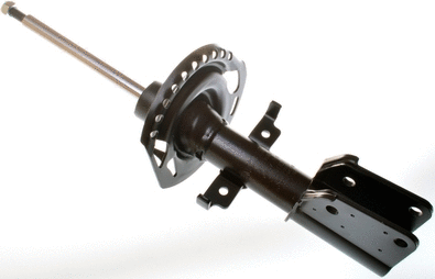 Amortisseur DENCKERMANN DSB168G
