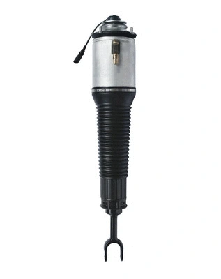 Armortisseur pneumatique GOLD 6160192