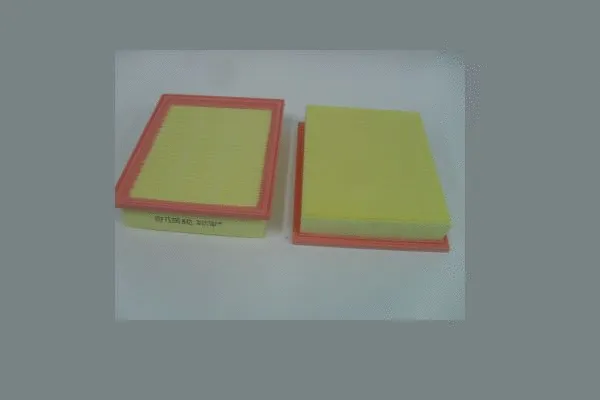 Filtre à air STEP FILTERS AE421