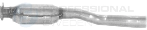 Catalyseur Professional Parts 254390179