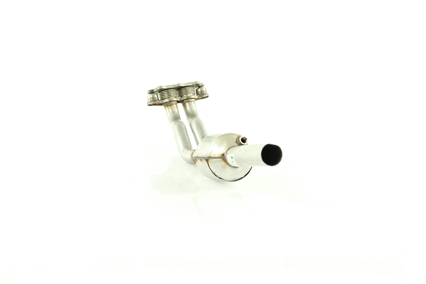 Catalyseur WALKER 20626
