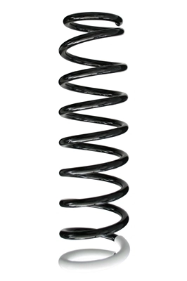 Ressort de suspension SPIDAN 86398