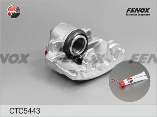 Jeu d'axes d'étriers de freins FENOX CTC5443