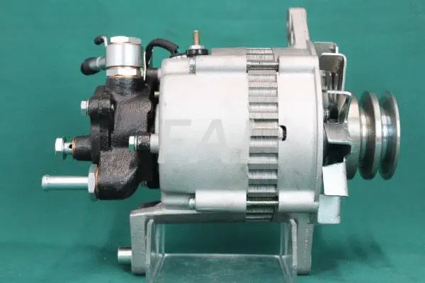 Alternateur FAL Anlasser- und Lichtmaschinenservice F006071/2