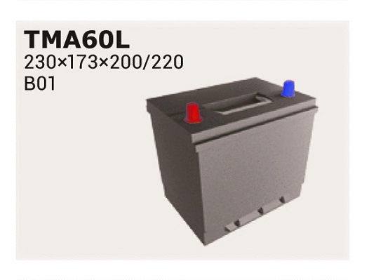 Batterie de démarrage IPSA TMA60L