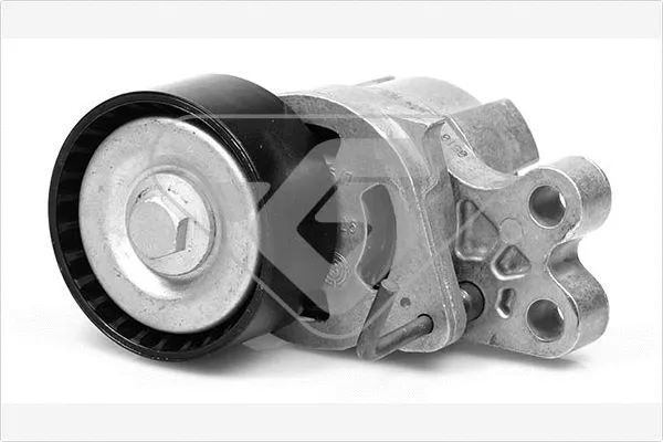 Poulie de tension, courroie trapézoïdale à nervures HUTCHINSON T0071